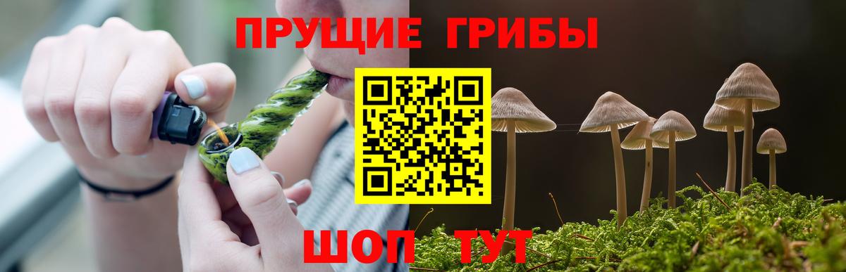 Похвистнево  Псилоцибиновые грибы Psilocybe  Вход с VPN 