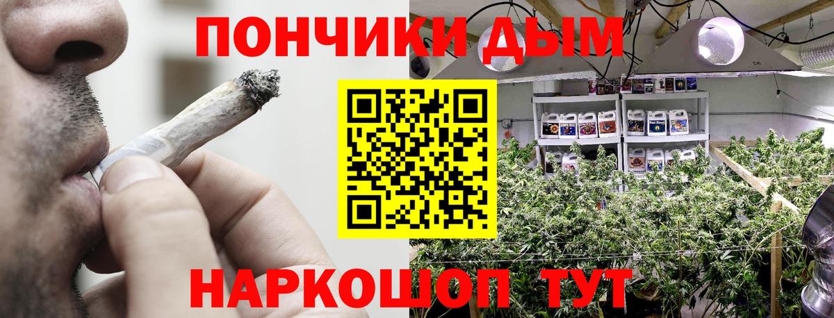 Шишки марихуана план  Конопля OG Kush  Вход с VPN  Похвистнево  Марихуана индика  Бошки марихуана тримм 